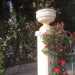 L'ingresso del giardino addobbato da rose rosse